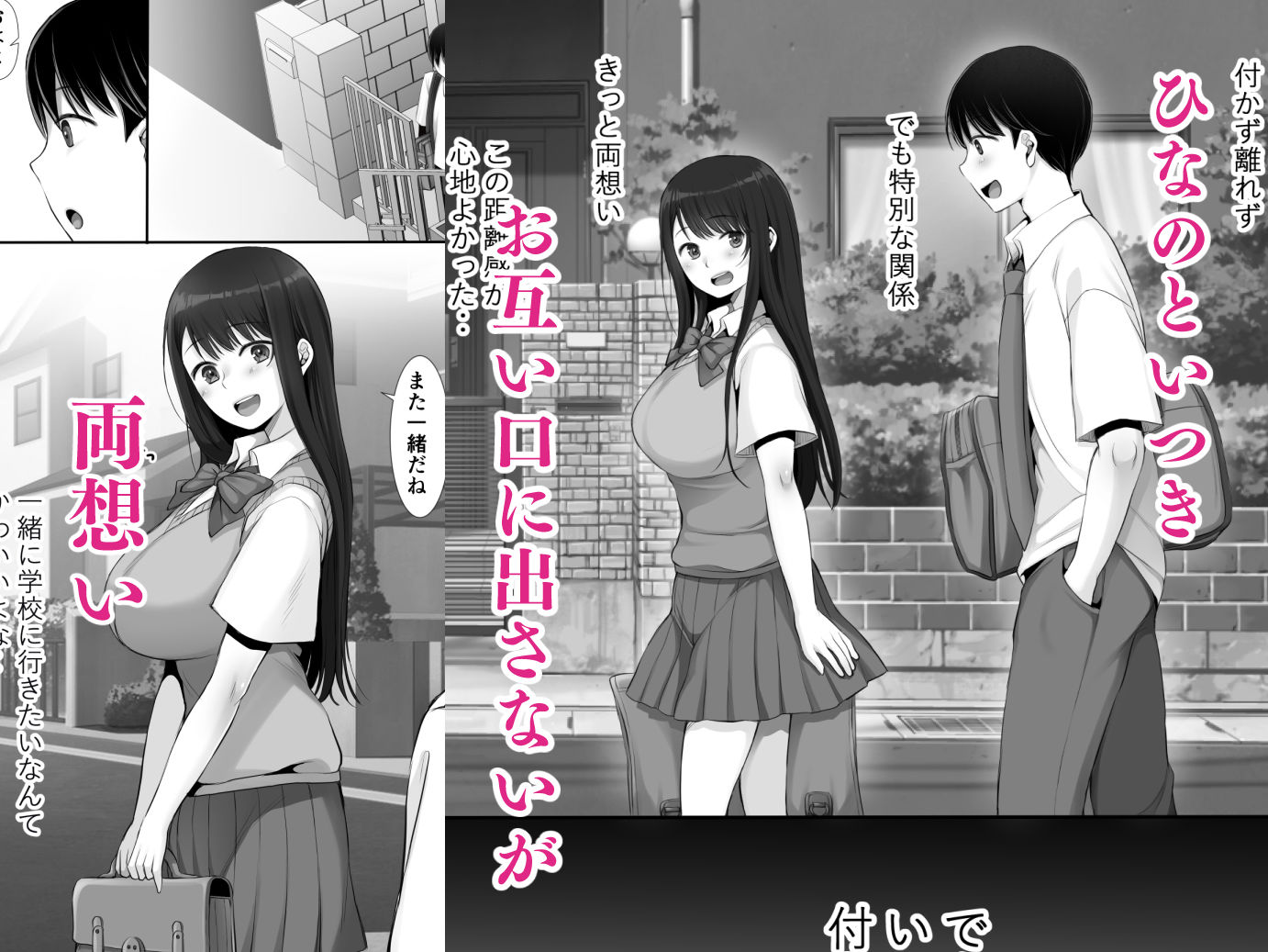 両想いだった幼馴染姉妹がホームステイ中の留学生にオナホ代わりにされてSEX大好き中イキメスにされてた話Reboot 無料試し読み 1